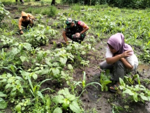 Monitoring Wilayah, Babinsa Larantuka Turun Langsung Gotong Royong Bersama Warga