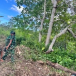 Semangat Kebersamaan, Satgas TMMD Lanjutkan Pekerjaan Jalan di Sumba Barat Daya