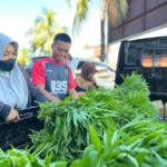 Prajurit Yonif TP 835/SYB manfaatkan lahan produktif, hasil panen kangkung menarik perhatian warga