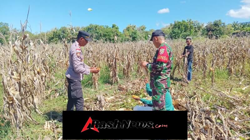 Sinergi Babinsa dan Aparat Terkait Jaga Keamanan Kedatangan Kapal di Lewoleba