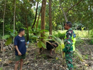 Lewat Monitoring Wilayah, Babinsa Tingkatkan Hubungan Harmonis dengan Masyarakat