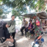 Babinsa Desa Matua Aktif Komsos, Ingatkan Dampak Negatif Ternak Liar