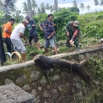 Gotong Royong Warga Batu Kumbung Cegah Banjir Jembatan