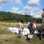 Kedekatan TNI dan Rakyat, Babinsa Lewa Ikut Pikul Padi Bersama Petani