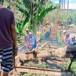 Semangat Kekompakan Terjalin Meski Jembatan Lama Sedang Dibongkar