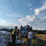 Babinsa Bolo Kawal Pembelian 9,3 Ton Gabah oleh Bulog