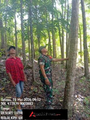 Babinsa Desa Tongo Pastikan Kegiatan Kliring Berjalan Aman dan Sesuai Batas Lahan