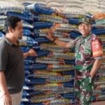 Babinsa Koramil Seteluk Pantau Kondisi Gudang Beras Bulog di Desa Lamusung