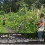 Wujud Pendampingan Wilayah, Babinsa Apui Kawal Pengukuran Lahan Koperasi Desa