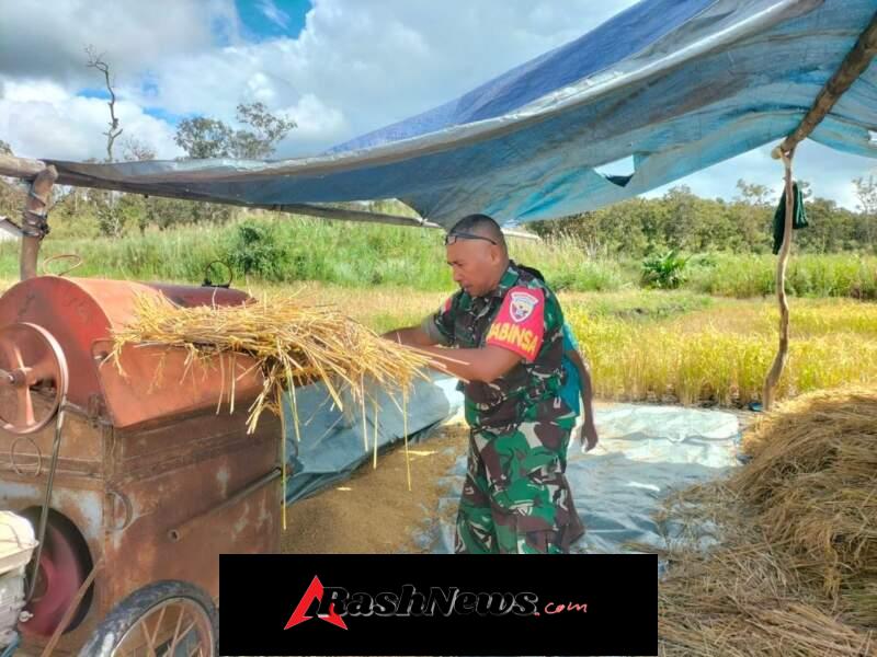 Babinsa dan Kelompok Tani Rata 4 Bersinergi Tingkatkan Hasil Pertanian
