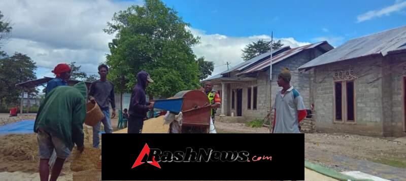 Babinsa Jadi Motor Penggerak, Dukung Kemandirian Pangan Masyarakat Desa