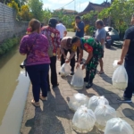 Tebar 6.000 Bibit Ikan Nila, Babinsa Hadir Perkuat Sinergi Pelestarian Perairan dan Kesejahteraan Masyarakat