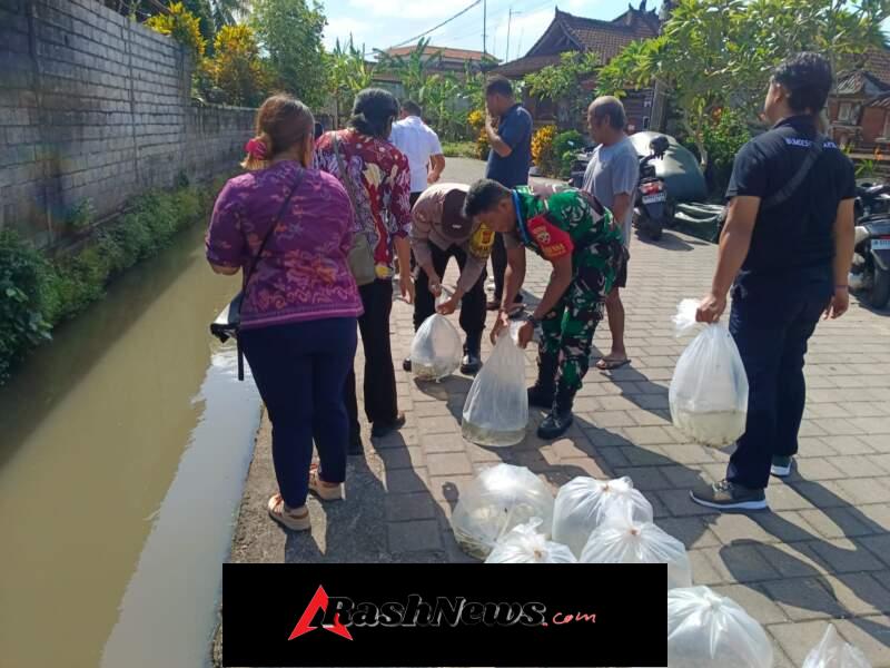 Tebar 6.000 Bibit Ikan Nila, Babinsa Hadir Perkuat Sinergi Pelestarian Perairan dan Kesejahteraan Masyarakat