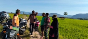 Sinergi Babinsa dan PPL Tingkatkan Ketahanan Pangan di Wilayah Monta Baru