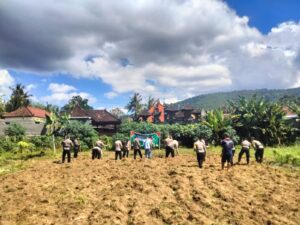 Optimalisasi Lahan, Polsek Manggis Dukuh Program Ketahanan Pangan Nasional.