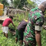Babinsa Dampingi Warga Kembangkan Tanaman Daun Kamhaji