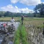 Pemantauan Lahan di Bitauni, Babinsa Ajak Petani Siapkan Kebutuhan Pangan