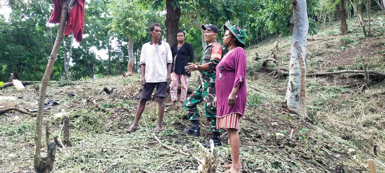 Jaga Kebersihan dan Produktivitas Pertanian, Babinsa Dampingi Warga Persiapkan Kebun