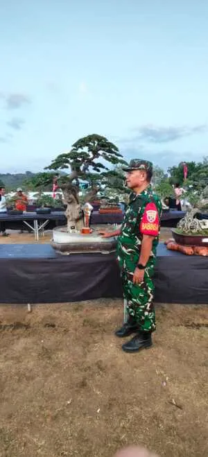 Keindahan Bonsai Warnai HUT RI ke-81, Babinsa Pungka Turut Hadir