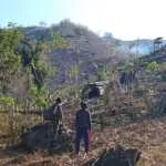 Petani Sekotong Diingatkan Buka Lahan Tanpa Membakar