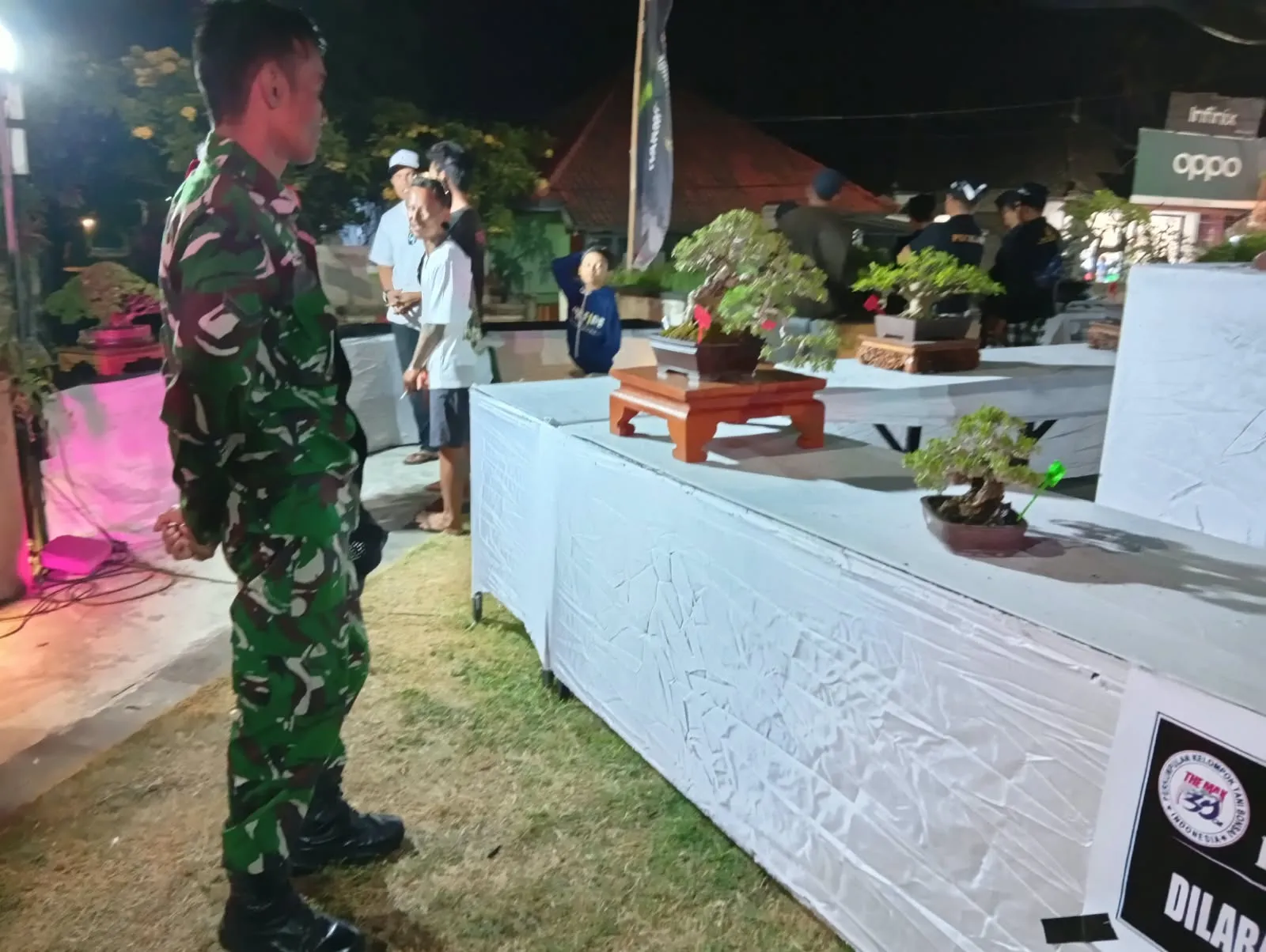 Pameran dan Kontes Bonsai Semarakkan HUT RI Ke 81 di Nusa Penida, Serda Zainul Tegaskan Angkat Potensi Ekonomi Perajin Lokal