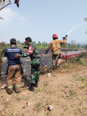 Kebakaran Kebun di Bukit Korea Berhasil Dipadamkan Sinergi Lintas Sektor