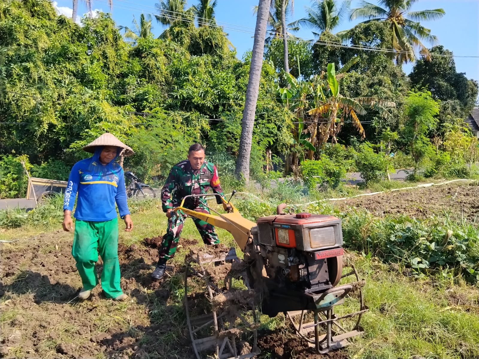 Babinsa Sanggalangit Laksanakan Pendampingan Hanpangan di Subak Sawah Dusun Tukad Pule