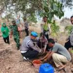 Dukung Kelestarian Alam, TNI-Polri dan Warga Wawo Gelar Aksi Tanam Pohon Serentak