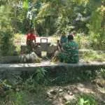 Babinsa Koramil 03/Pahunga Lodu Dukung Petani Hadapi Kekeringan melalui Pemerataan Air Irigasi