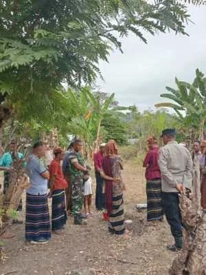 Pererat Sinergi Bersama Mosalaki, Babinsa Koramil 1602-04/Maurole Jaga Kelancaran Acara Adat