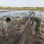 Wujudkan Ketahanan Pangan, Babinsa Serma Daniel Umbu Ndawa Gotong Royong Buat Pematang Sawah