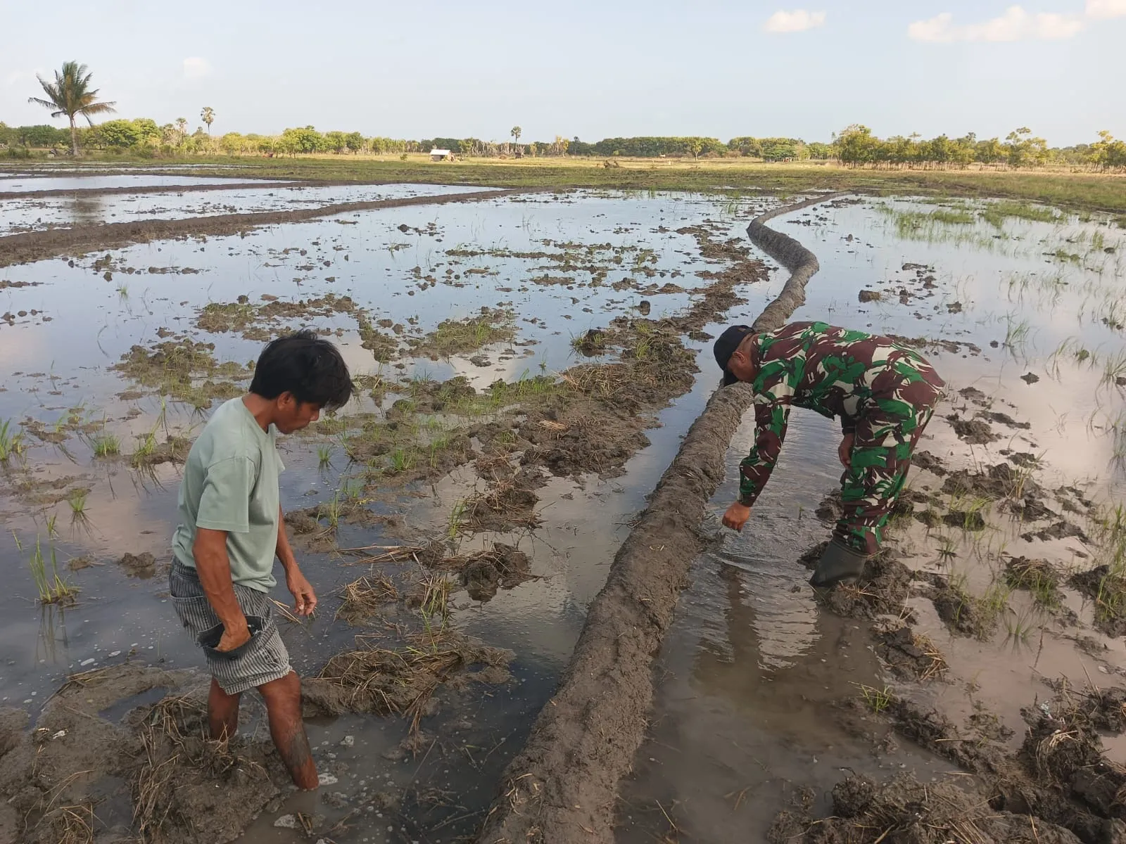 Wujudkan Ketahanan Pangan, Babinsa Serma Daniel Umbu Ndawa Gotong Royong Buat Pematang Sawah