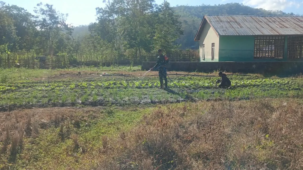 Babinsa Koramil 04/Tabundung Dampingi Petani, Wujudkan Ketahanan dan Swasembada Pangan