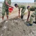 Wujudkan Lingkungan Bersih dan Sehat, Satgas TMMD ke-130 Kodim Sumba Barat Kebut Pembangunan Fasilitas Sanitasi